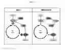 Fig. 59 - Extracellular vesicles with enhanced potency