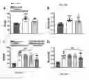 Fig. 61 - Extracellular vesicles with enhanced potency