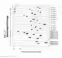Fig. 18 - METHODS OF GENERATING MESENCHYMAL STEM CELLS WHICH SECRETE NEUROTROPHIC FACTORS