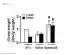 Fig. 10 - Compositions containing SPHEROID CELL AGGREGATES for enhance ovary function and preparation method of the same