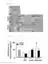 Fig. 12 - Compositions containing SPHEROID CELL AGGREGATES for enhance ovary function and preparation method of the same