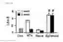 Fig. 14 - Compositions containing SPHEROID CELL AGGREGATES for enhance ovary function and preparation method of the same