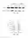 Fig. 07 - METHODS AND COMPOSITIONS FOR PREVENTING OR TREATING OPHTHALMIC CONDITIONS