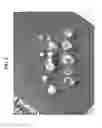 Fig. 09 - METHODS AND COMPOSITIONS FOR PREVENTING OR TREATING OPHTHALMIC CONDITIONS