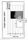 Fig. 04 - METHOD TO INDUCE NEOVASCULAR FORMATION AND TISSUE REGENERATION