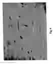 Fig. 09 - METHOD TO INDUCE NEOVASCULAR FORMATION AND TISSUE REGENERATION