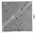 Fig. 10 - METHOD TO INDUCE NEOVASCULAR FORMATION AND TISSUE REGENERATION