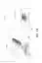 Fig. 02 - METHODS FOR TREATING CARDIAC INJURY