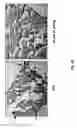 Fig. 12 - Method of treating cancer with compositions comprising IL-31