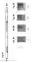 Fig. 20 - Method of treating cancer with compositions comprising IL-31