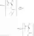 Fig. 14 - Conjugates of somatostatin analogues