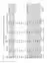Fig. 08 - Methods of treating and diagnosing disease using biomarkers for BCG therapy