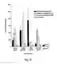 Fig. 08 - Consensus/ancestral immunogens