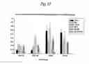 Fig. 46 - Consensus/ancestral immunogens