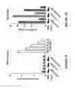 Fig. 07 - METHOD FOR PREPARING VIRAL PARTICLES WITH CYCLIC DINUCLEOTIDE AND USE OF SAID PARTICLES FOR INDUCING IMMUNE RESPONSE