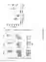 Fig. 02 - METHODS AND COMPOSITIONS FOR TREATMENT OF METABOLIC DISORDERS