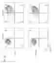 Fig. 29 - Anti-podocalyxin antibodies and methods of using the same
