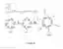 Fig. 45 - PHARMACEUTICAL COMPOSITIONS OF POLYANIONIC AND NON-IONIC CYCLODEXTRIN-BASED DENDRIMERS AND USES THEREOF
