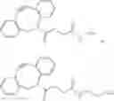 Fig. 22 - Supramolecular modification of proteins