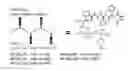 Fig. 01 - COMPOSITIONS AND METHODS FOR DISASSEMBLING AMYLOID FIBRILS