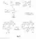Fig. 07 - COMPOSITIONS AND METHODS FOR DISASSEMBLING AMYLOID FIBRILS