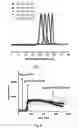 Fig. 08 - COMPOSITIONS AND METHODS FOR DISASSEMBLING AMYLOID FIBRILS