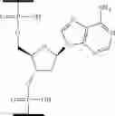 Fig. 89 - TARGETED THERAPEUTIC NUCLEOSIDES AND THEIR USE