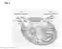 Fig. 02 - Enzyme-responsive peptide nanofiber compositions and uses thereof