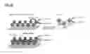 Fig. 07 - Enzyme-responsive peptide nanofiber compositions and uses thereof