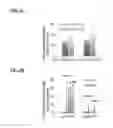 Fig. 08 - Enzyme-responsive peptide nanofiber compositions and uses thereof