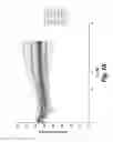 Fig. 02 - NOVEL DRUG DELIVERY SYSTEM BASED ON JCV-VLP