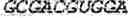 Fig. 19 - RNA-based logic circuits with RNA binding proteins, aptamers and small molecules