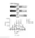 Fig. 49 - RNA-based logic circuits with RNA binding proteins, aptamers and small molecules