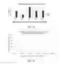Fig. 14 - HIGH-BRIGHTNESS FLUOROPHORES