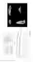 Fig. 11 - PHARMACEUTICAL FORMULATION AND METHOD OF PREPARING THE SAME