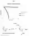 Fig. 06 - Dissolvable hydrogel compositions for wound management and methods of use