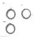 Fig. 04 - SHEET OF BIOLOGICAL TISSUE, TUBULAR STRUCTURE OBTAINED FROM SAID SHEET, AND ARTIFICIAL BLOOD VESSEL COMPRISING SAID TUBULAR STRUCTURE