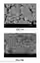 Fig. 08 - DECELLULARIZED NERVE ALLOGRAFTS