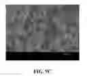 Fig. 09 - DECELLULARIZED NERVE ALLOGRAFTS