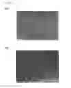 Fig. 06 - Acellular corneas, methods of producing the same and uses thereof