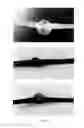 Fig. 06 - Coating compositions, polymeric coatings, and methods