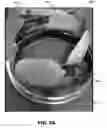 Fig. 09 - Lactation system and method