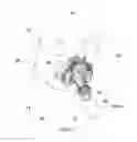 Fig. 02 - Respiratory assembly