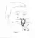 Fig. 04 - Respiratory assembly