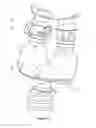 Fig. 07 - Respiratory assembly