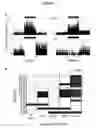 Fig. 08 - Method of Treating Parkinson's Disease and Other Movement Disorders