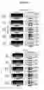 Fig. 09 - Method of Treating Parkinson's Disease and Other Movement Disorders