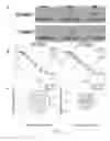 Fig. 06 - Rapid imaging systems and methods for facilitating rapid radiation therapies