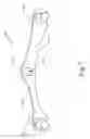 Fig. 08 - Barbell collar