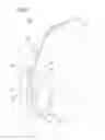 Fig. 02 - BREATHING MASK